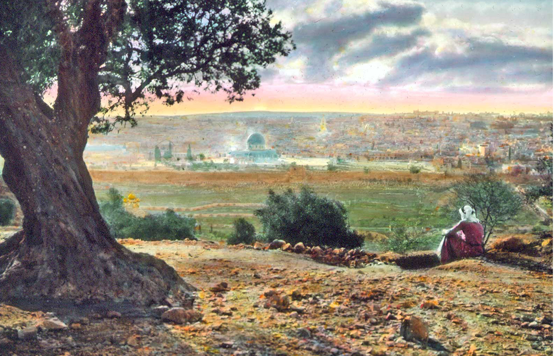 why-choose-us About IMG 0854