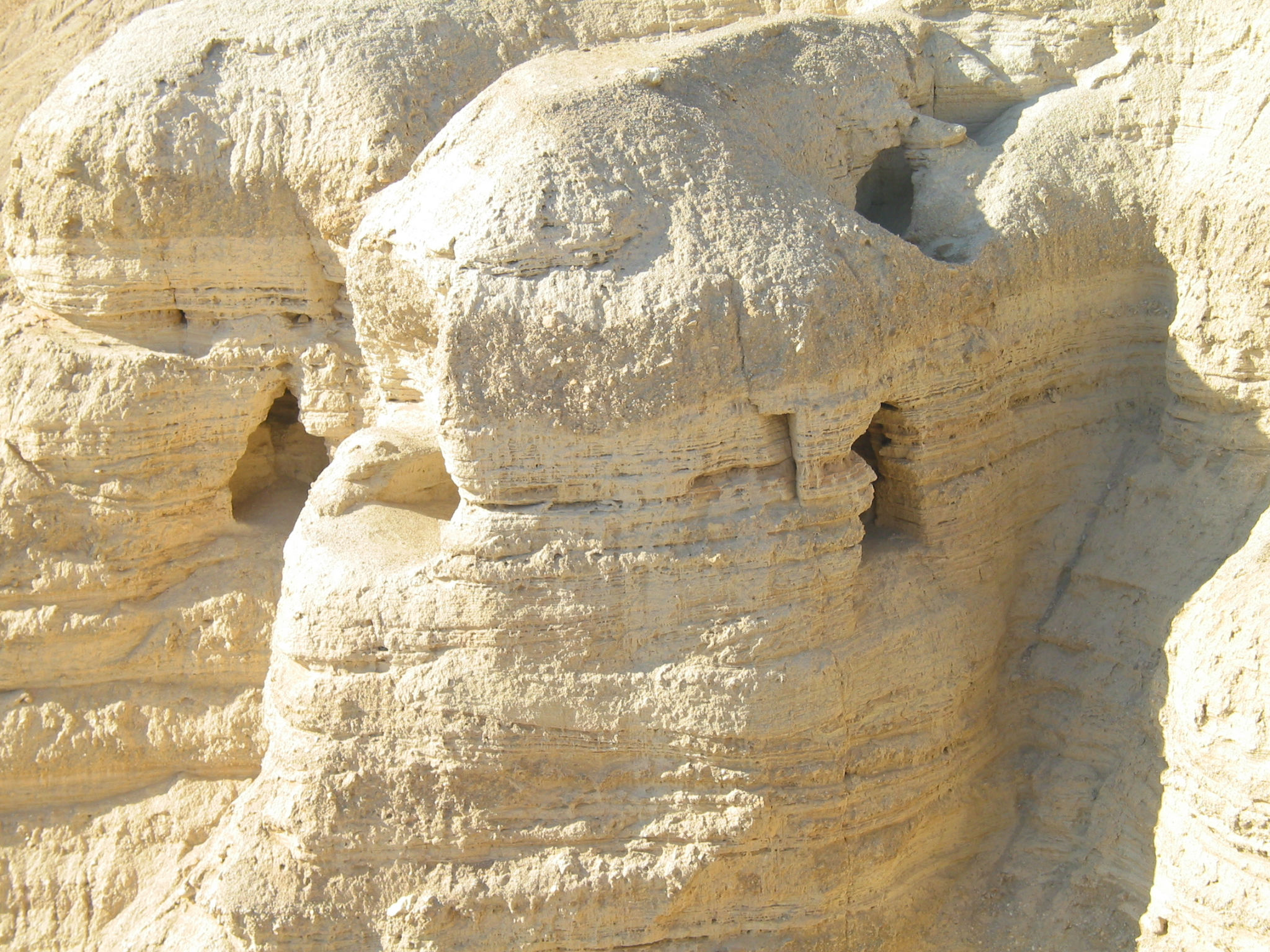 our-services-1 Dead Sea Scrolls 2