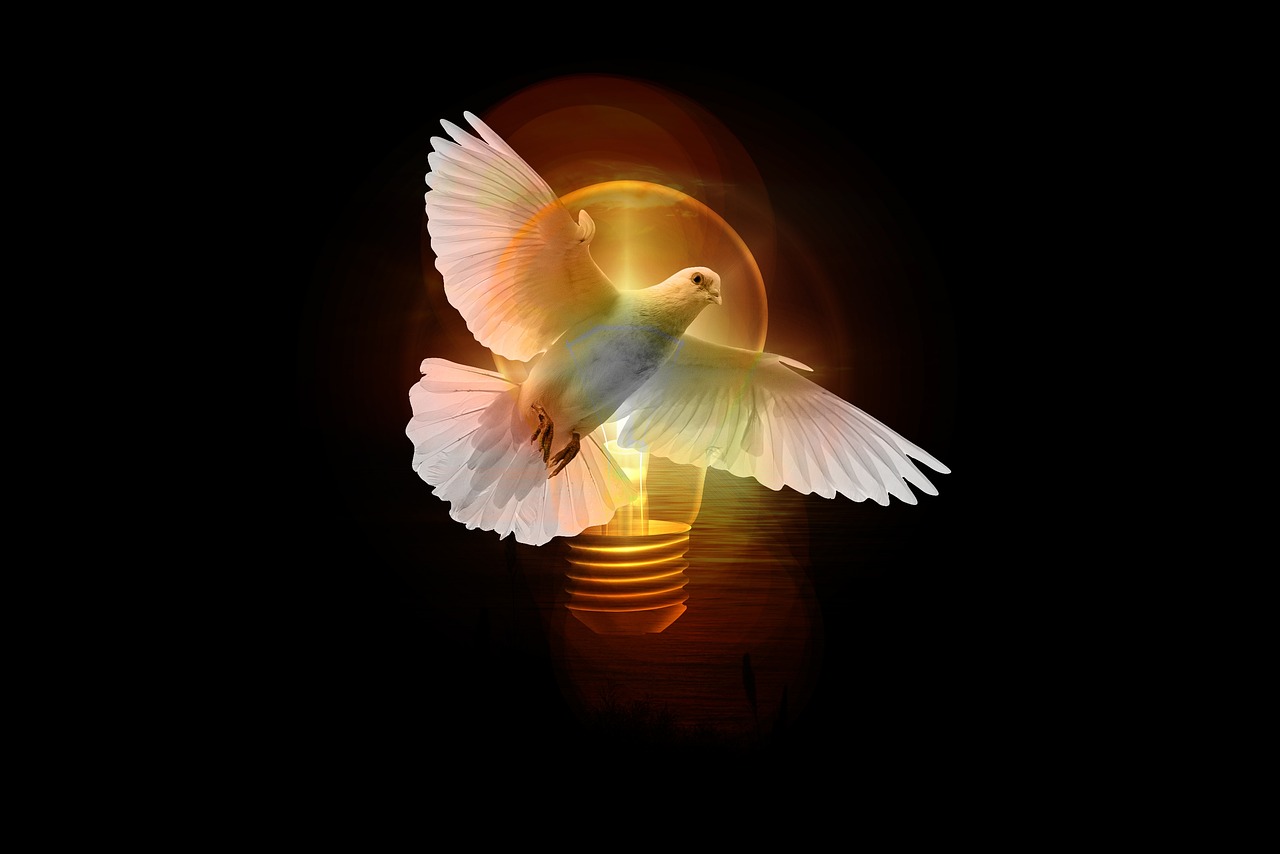 dove, lightbulb, light, pentecost, holy spirit, shining, holy spirit, holy spirit, holy spirit, holy spirit, holy spirit
