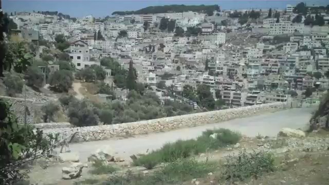 耶稣将无花果树与《诗篇》第37篇联系起来