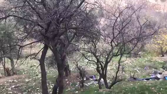 无家可归者住在耶路撒冷的“地狱”